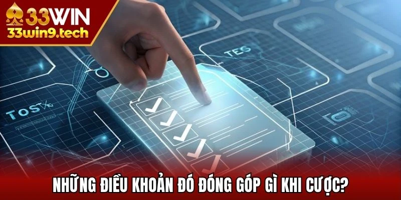 Những điều khoản đó có đóng góp gì khi cược?