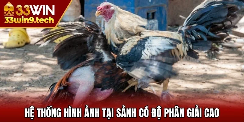 Hệ thống hình ảnh tại sảnh có độ phân giải cao