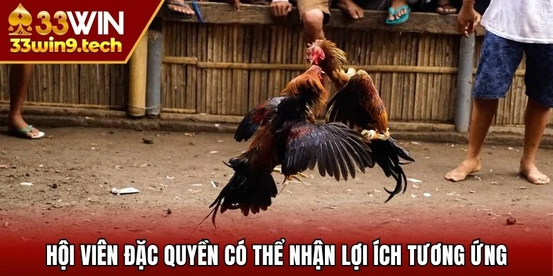 Hội viên đặc quyền có thể nhận lợi ích tương ứng