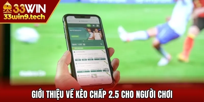 Giới thiệu về kèo chấp 2.5 cho người chơi